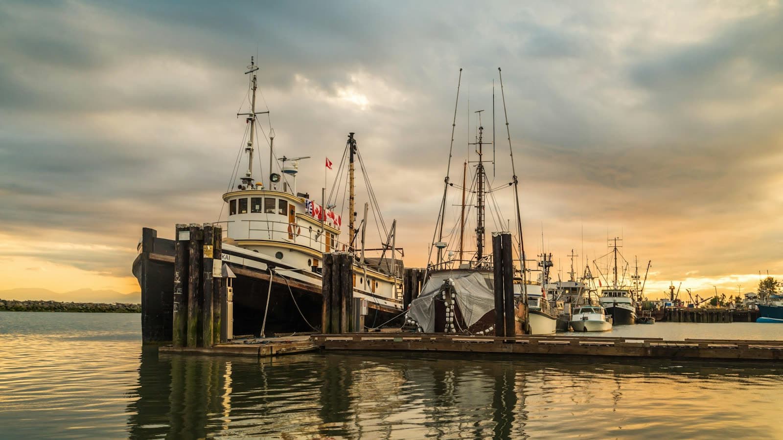 Fishing boats at Steveston harbour, Richmond